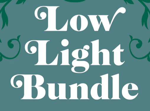 Low Light Bundle