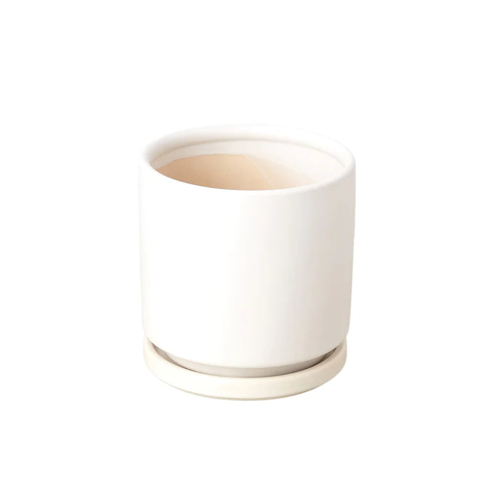 White Cylinder Planter 4 In.