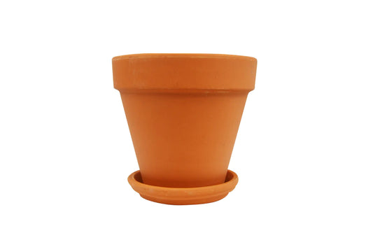 Terracotta Planter